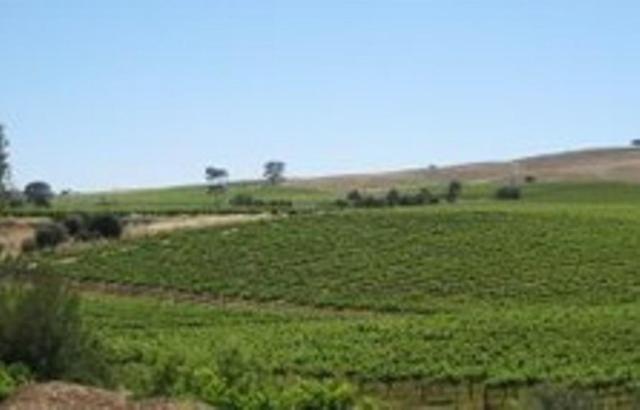 Stonewell Cottages And Vineyards 타눈다 외부 사진