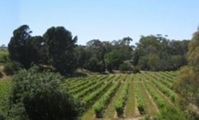 Stonewell Cottages And Vineyards 타눈다 외부 사진