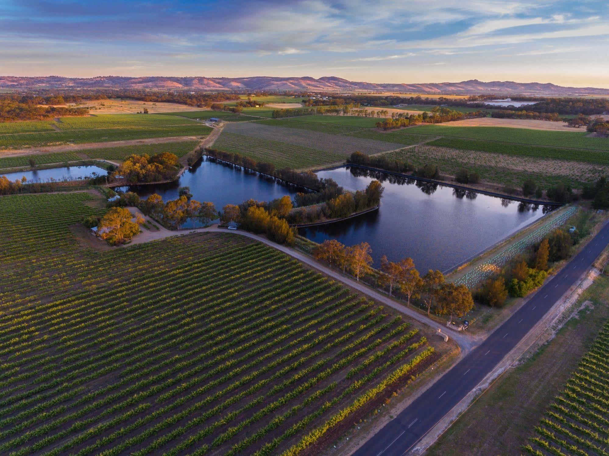 Stonewell Cottages And Vineyards 타눈다 외부 사진