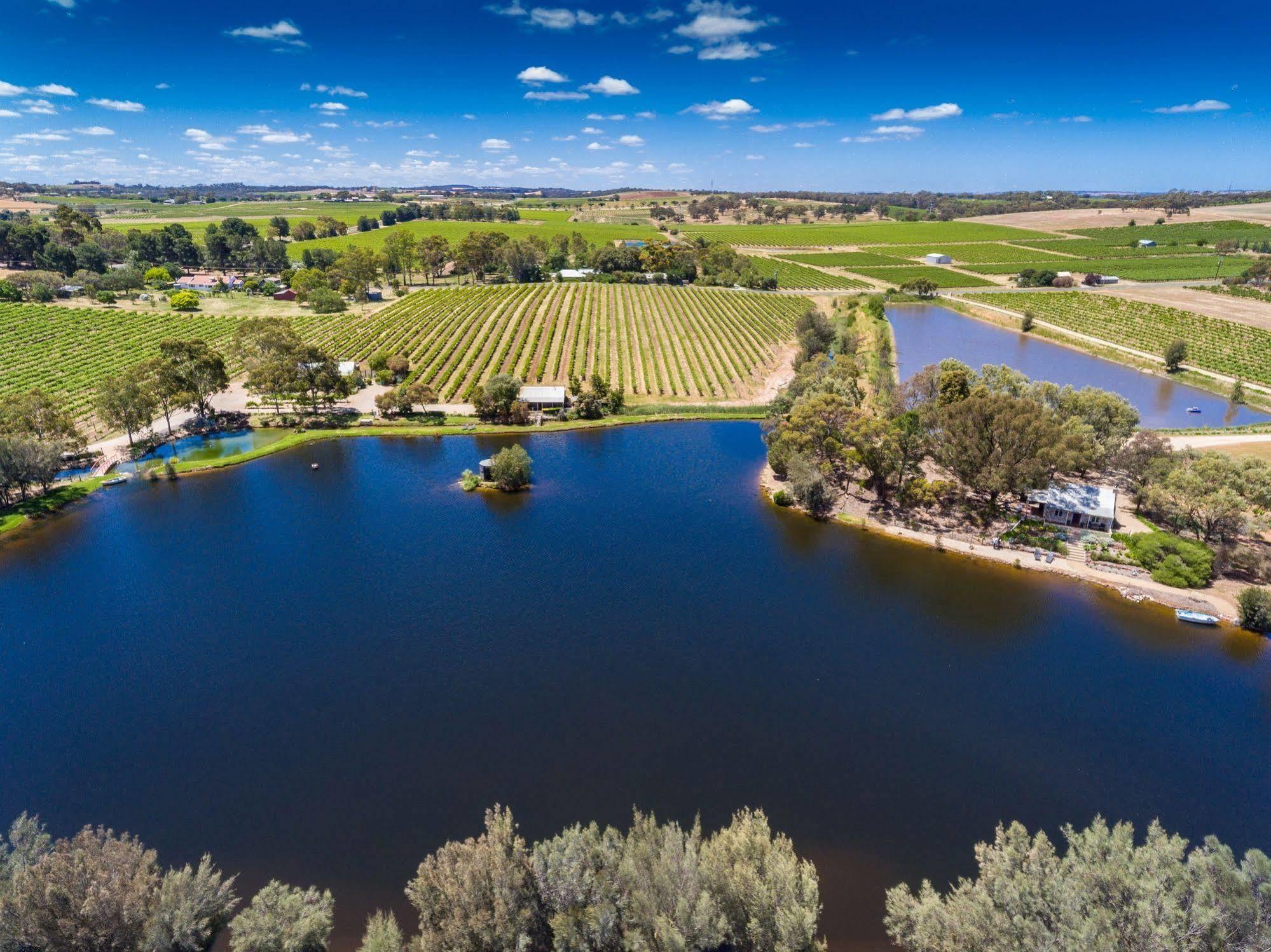 Stonewell Cottages And Vineyards 타눈다 외부 사진